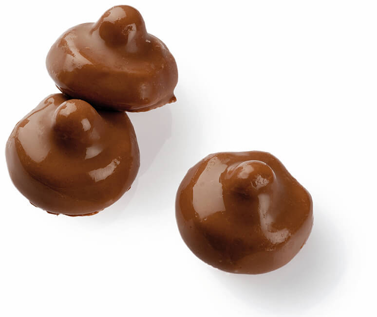 Chokladsvampar 1.2kg