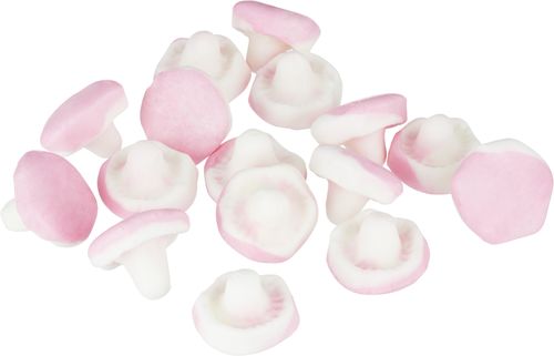 Dals Skum Svamp 1.8kg