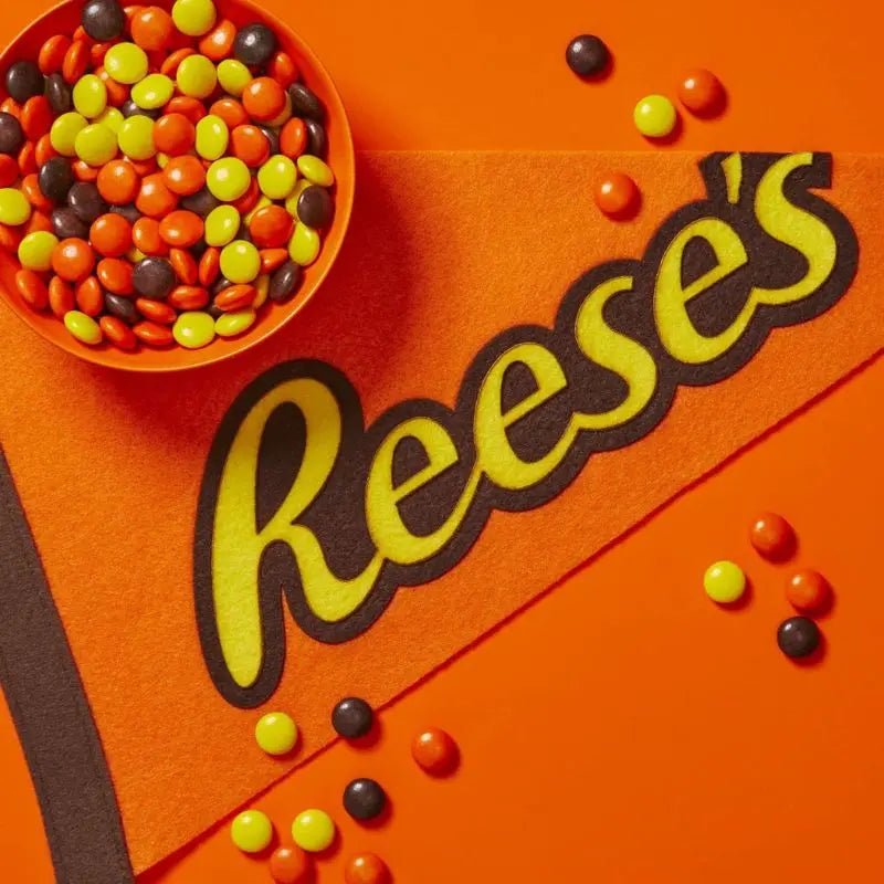 Reese's Pieces 113g